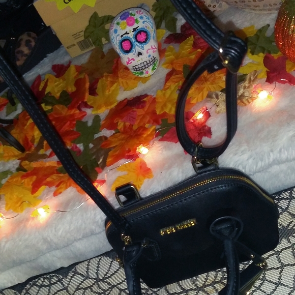 STEVE MADDEN mini purse! - Picture 2 of 14